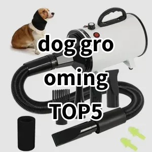 Top 5 Best-selling dog grooming