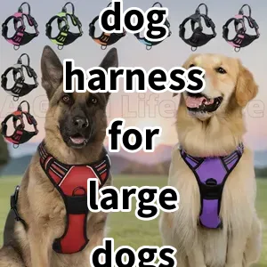 Top 5 Best-selling dog harness for large dogs