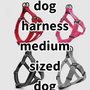 Top 5 Best-selling dog harness medium sized dog