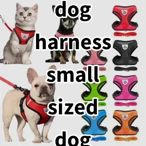 Top 5 Best-selling dog harness small sized dog