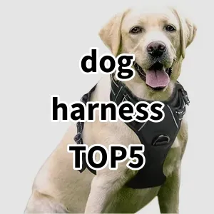 Top 5 Best-selling dog harness