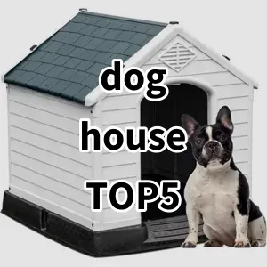 Top 5 Best-selling dog house