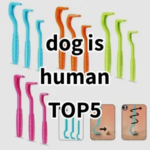 Top 5 Best-selling dog is human