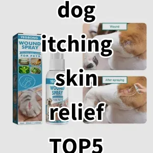 Top 5 Best-selling dog itching skin relief