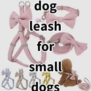 Top 5 Best-selling dog leash for small dogs