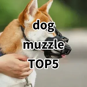 Top 5 Best-selling dog muzzle