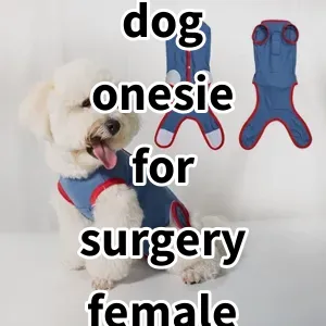 Top 5 Best-selling dog onesie for surgery female