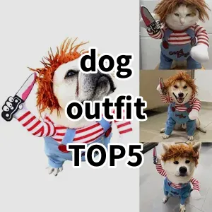 Top 5 Best-selling dog outfit