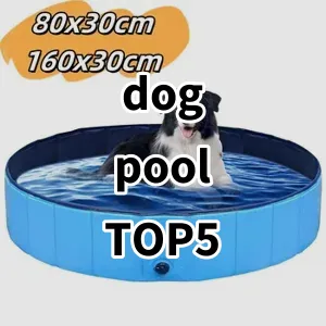 Top 5 Best-selling dog pool