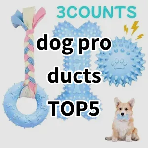 Top 5 Best-selling dog products