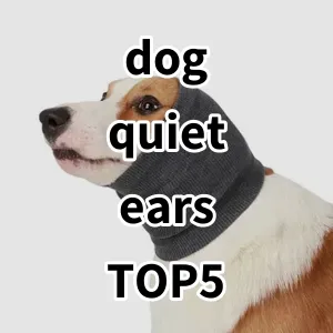 Top 5 Best-selling dog quiet ears