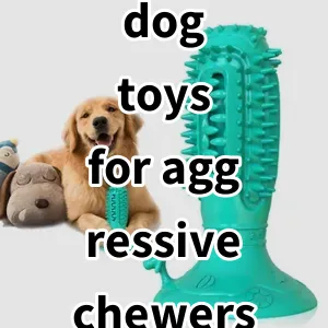 Top 5 Best-selling dog toys for aggressive chewers