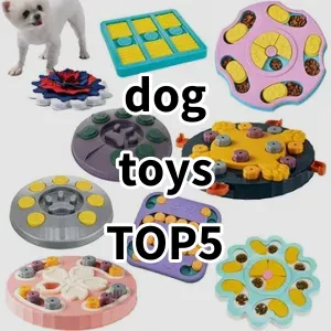 Top 5 Best-selling dog toys