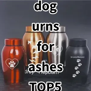 Top 5 Best-selling dog urns for ashes