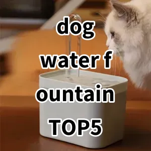 Top 5 Best-selling dog water fountain