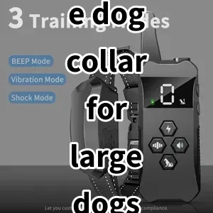 Top 5 Best-selling e dog collar for large dogs