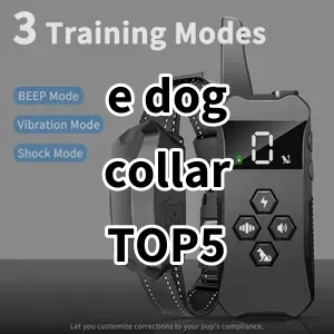 Top 5 Best-selling e dog collar