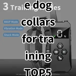 Top 5 Best-selling e dog collars for training