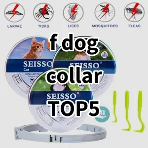 Top 5 Best-selling f dog collar