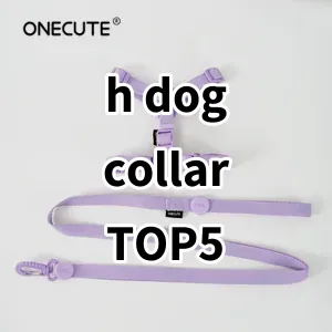 Top 5 Best-selling h dog collar