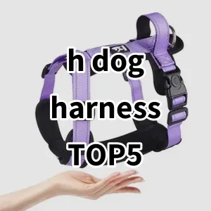 Top 5 Best-selling h dog harness