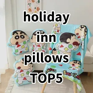 2024 Top5 Best-selling holiday inn pillows