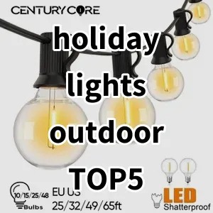 2024 Top5 Best-selling holiday lights outdoor