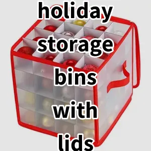 2024 Top5 Best-selling holiday storage bins with lids