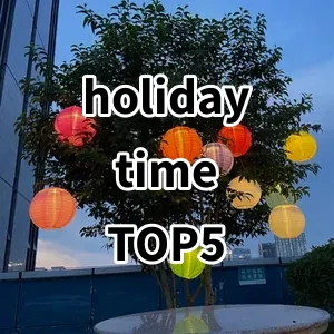 2024 Top5 Best-selling holiday time