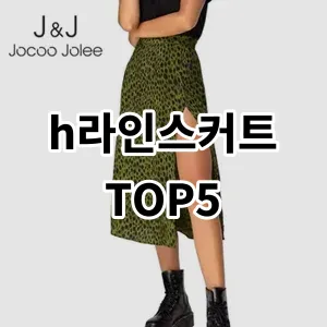 2024 h라인스커트 추천 Top5