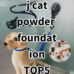 Top 5 Best-selling j cat powder foundation