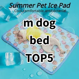 Top 5 Best-selling m dog bed