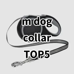 Top 5 Best-selling m dog collar