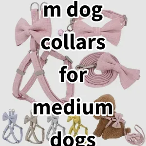 Top 5 Best-selling m dog collars for medium dogs