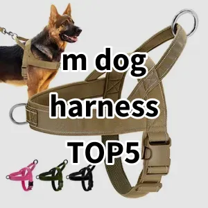 Top 5 Best-selling m dog harness