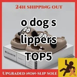 Top 5 Best-selling o dog slippers