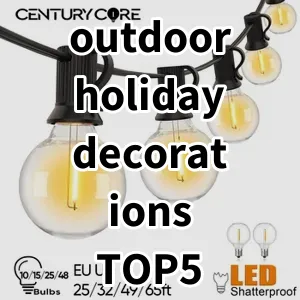 2024 Top5 Best-selling outdoor holiday decorations