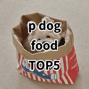 Top 5 Best-selling p dog food