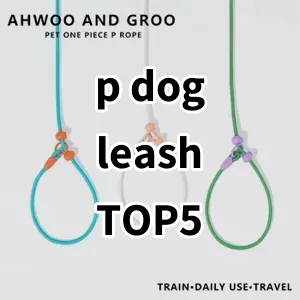 Top 5 Best-selling p dog leash