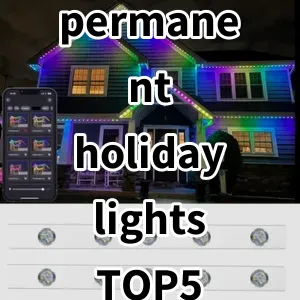 2024 Top5 Best-selling permanent holiday lights