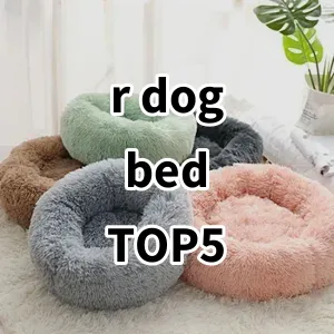 Top 5 Best-selling r dog bed