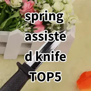 Top 5 Best-selling spring assisted knife