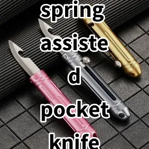 Top 5 Best-selling spring assisted pocket knife