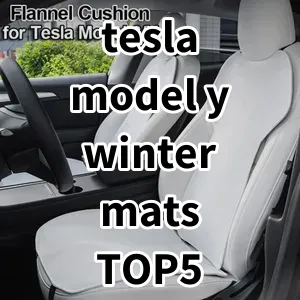 Top 5 Best-selling tesla model y winter mats