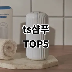 2024 ts샴푸 추천 Top5