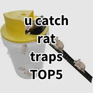 Top 5 Best-selling u catch rat traps