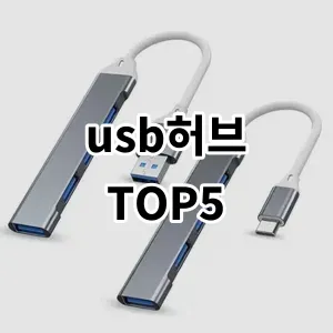 2024 usb허브 추천 Top5