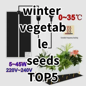 Top 5 Best-selling winter vegetable seeds