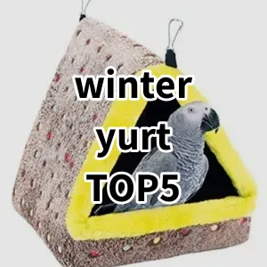 Top 5 Best-selling winter yurt