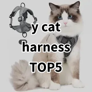 Top 5 Best-selling y cat harness